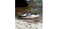 Bague en carbure de tungstène avec inscrustation d'opale broyée